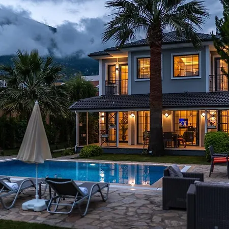فيلة Villa Palmiye