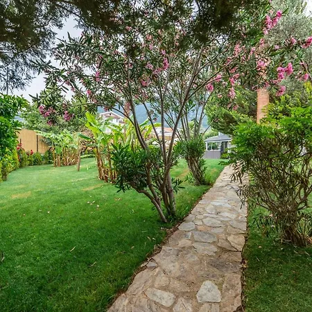 فيلة Villa Palmiye