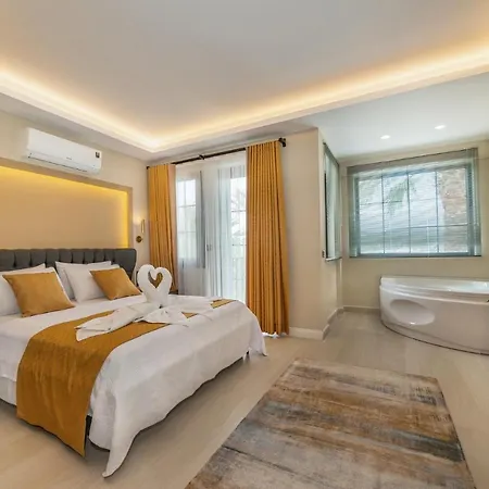 فيلة Villa Palmiye *