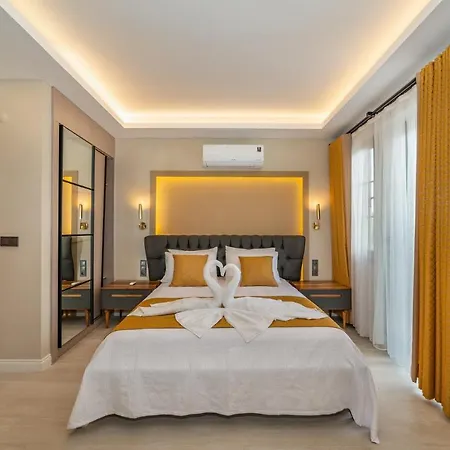 فيلة Villa Palmiye
